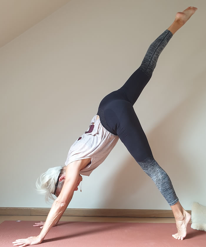 Vinyasa yoga
